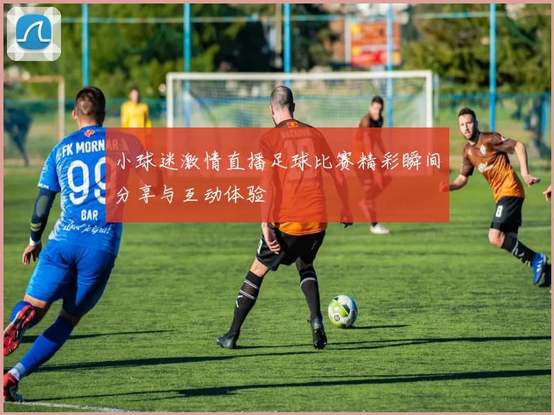 小球迷激情直播足球比赛精彩瞬间分享与互动体验
