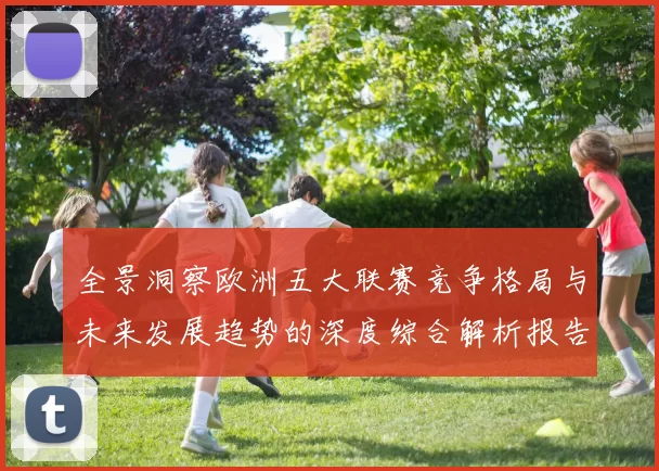 全景洞察欧洲五大联赛竞争格局与未来发展趋势的深度综合解析报告