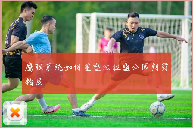 鹰眼系统如何重塑法拉盛公园判罚精度