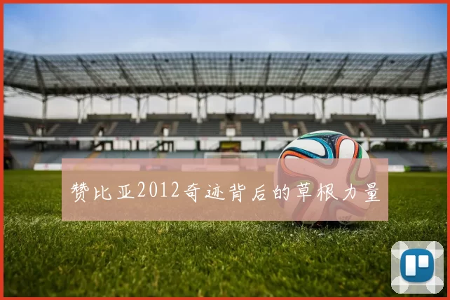 赞比亚2012奇迹背后的草根力量