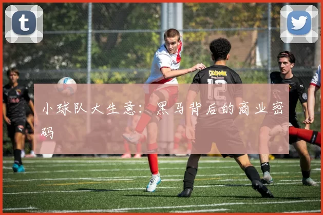 小球队大生意：黑马背后的商业密码