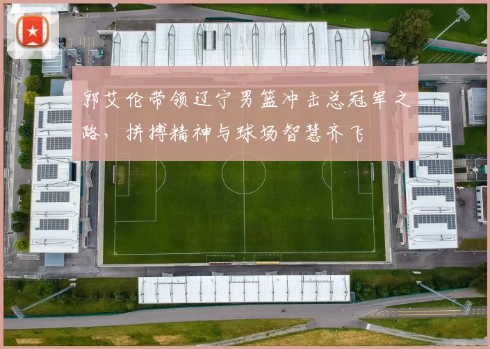 郭艾伦带领辽宁男篮冲击总冠军之路，拼搏精神与球场智慧齐飞