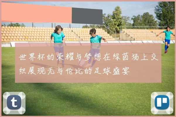 世界杯的荣耀与梦想在绿茵场上交织展现无与伦比的足球盛宴