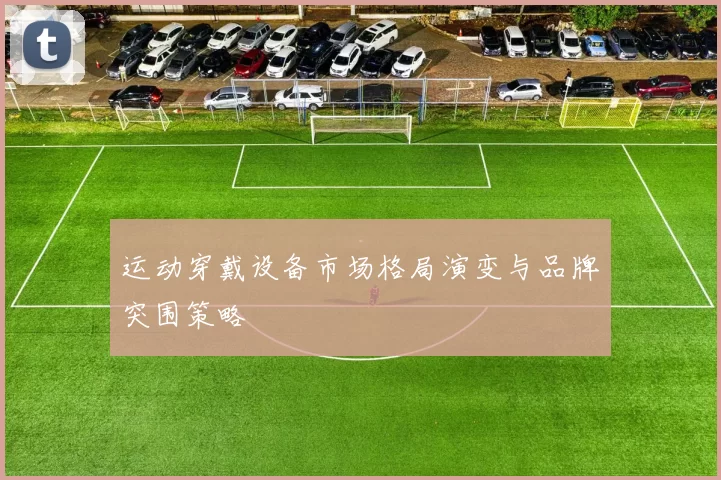 运动穿戴设备市场格局演变与品牌突围策略