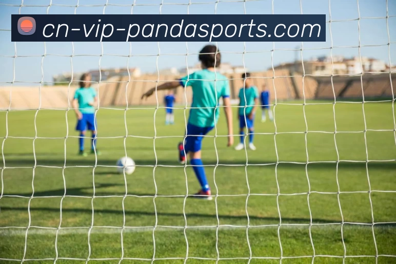 熊猫体网站APP 体育赛事宣传图